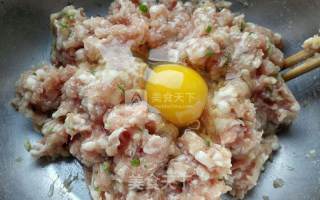 Mushroom Meatballs recipe