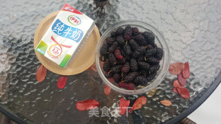 Mulberry Milkshake recipe