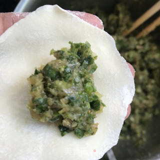 Celery Meat Dumplings recipe