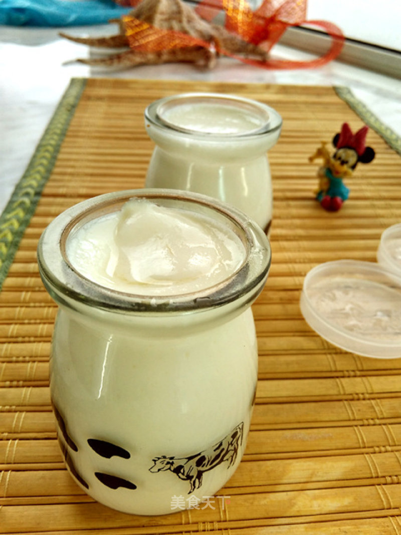 Cloud Recipe Original Yogurt recipe