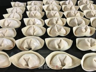 Pan Fried Wonton recipe