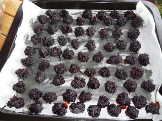 Looking for Childhood Memories-homemade Dried Bayberry recipe