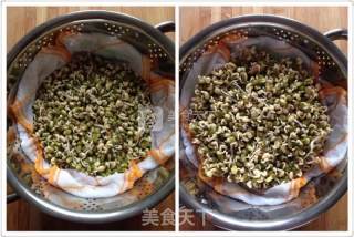 Inch Golden Mung Bean Sprouts recipe