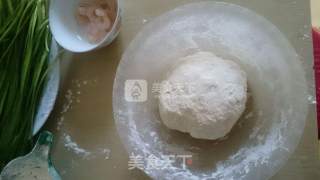 Fried Dumplings with Ice Flower recipe