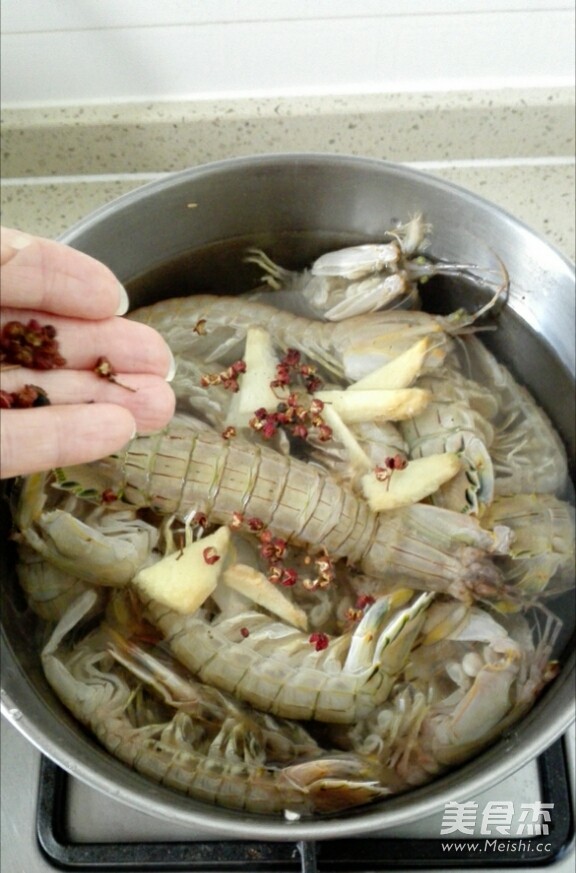 Brine Shrimp recipe