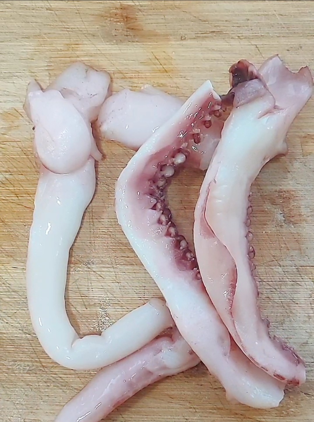 Octopus Dumplings recipe