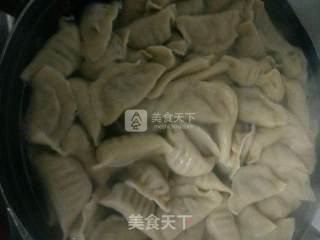 Shepherd's Purse and Pork Dumplings recipe