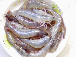 Simple Brine Shrimp recipe