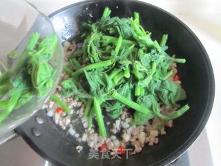 Stir-fried Pumpkin Leaves with Minced Meat recipe