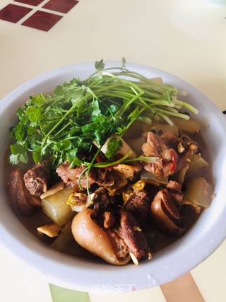 Lamb Braised Radish recipe
