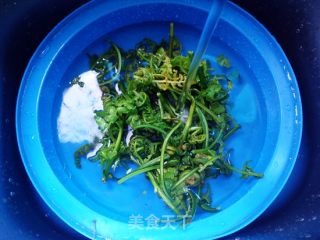 Stir-fried Water Bracken with Tomatoes recipe