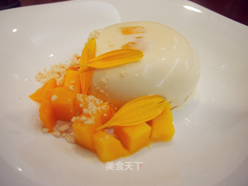 Mango Panna Cotta recipe