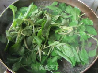 Seasonal Spring Dishes-mixed Malan Tou recipe