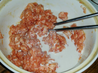 Fungus, Vegetables and Meatball Soup recipe