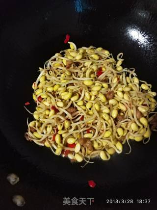 Minced Meat Soy Sprouts recipe
