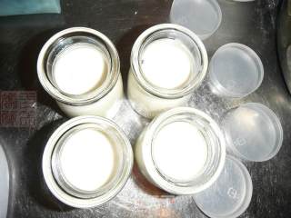 Cranberry Milk Pudding recipe