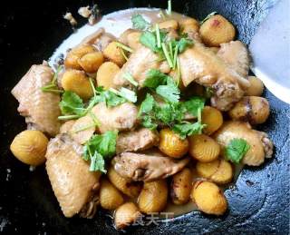 Braised Chicken Wings recipe