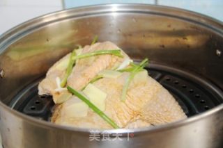 Scallion Chicken recipe