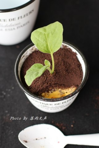 New Fashion-potted Ice Cream recipe