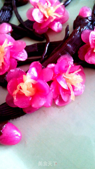 Red Plum Primula (new Year's Dessert) recipe