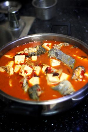 Catfish Tofu Hot Pot recipe