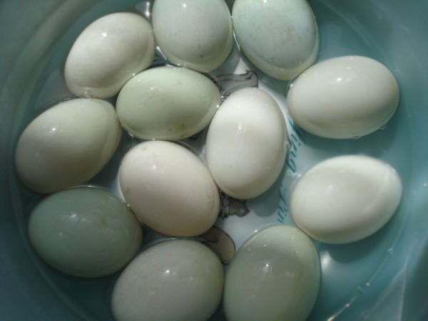 Salted Duck Egg recipe