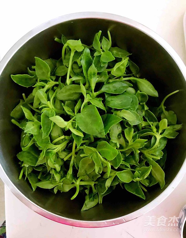 Andrographis recipe