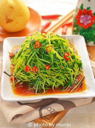 Cool Pea Sprouts recipe