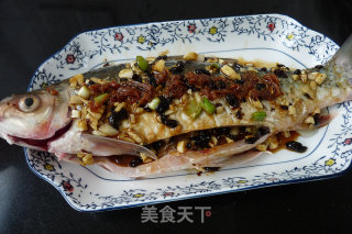 Steamed Dace in Xo Sauce with Black Bean Sauce recipe