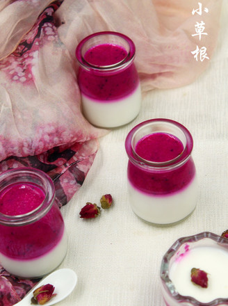 Dragon Fruit Yogurt Jelly recipe