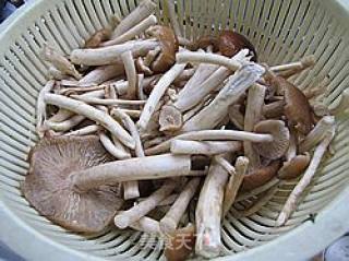 【flying Birds and Animals】----tea Tree Mushroom and Beef Bone Pot recipe