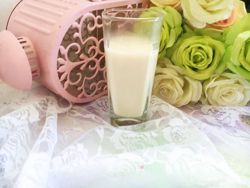 Freshly Ground Soy Milk recipe