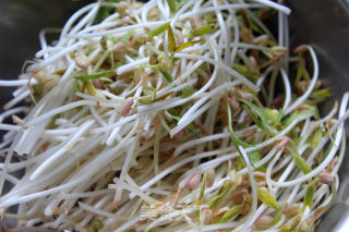 #trust of Beauty#vinegar Mung Bean Sprouts recipe