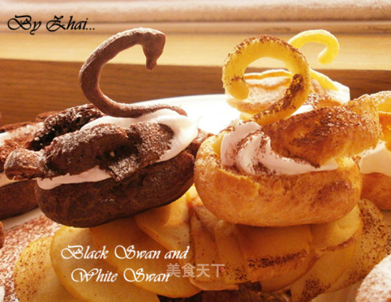 Family Secrets---black Swan and White Swan (black Swan and White Swan) recipe