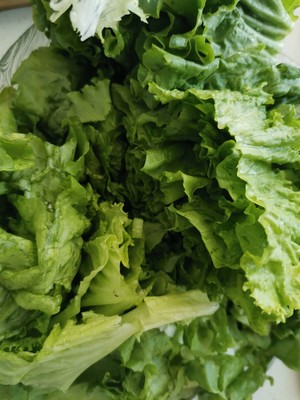 Hot Mixed Lettuce/less Oil Dishes recipe