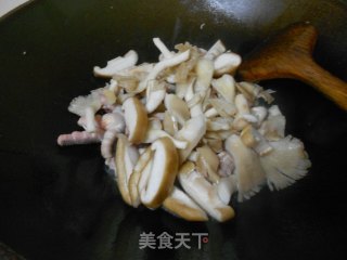 Fried Double Mushroom with Chicken recipe