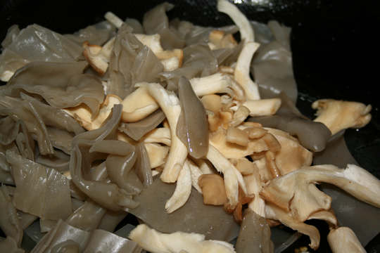 Stir-fried Xiuzhen Mushrooms with Fresh Potato Noodles recipe