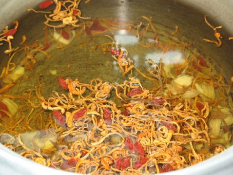 Cordyceps Flower Lily Bone Soup recipe