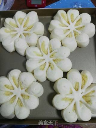 #trust之美#coconut Chrysanthemum Bag recipe