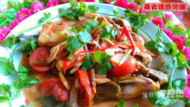 Braised Wasp Fish with Pickled Pepper and Tofu recipe