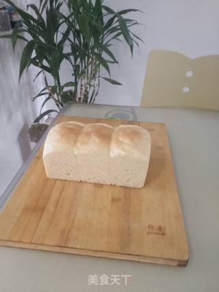 Whole Wheat Oil-free Sugar-free Toast recipe