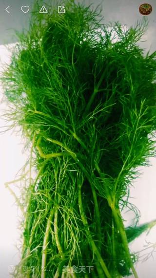 Cold and Refreshing Fennel recipe