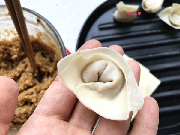 Mushroom Chicken Wonton recipe