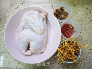 Stewed Chicken Soup with Cordyceps Flower recipe