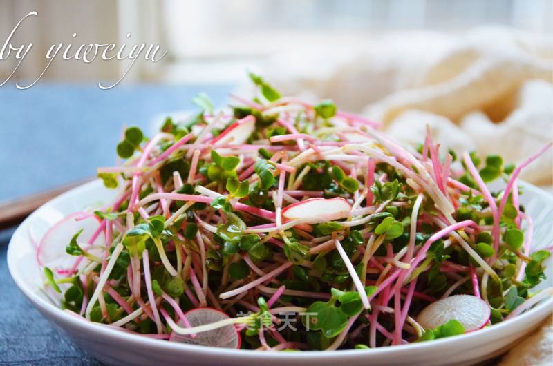 Sweet and Sour Radish Sprouts recipe