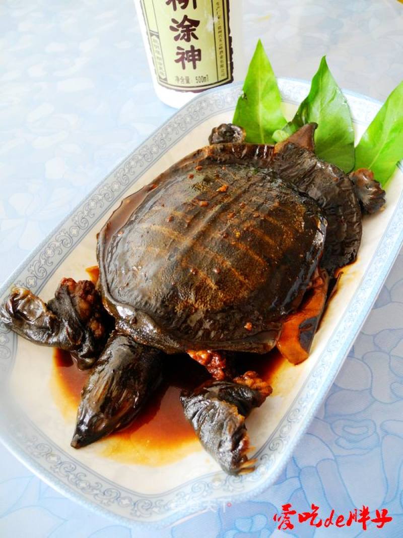 Braised Turtle recipe