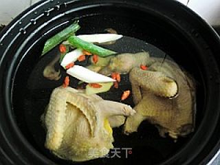 【flying Birds and Beasts】yaishan Wolfberry Pigeon Pot recipe