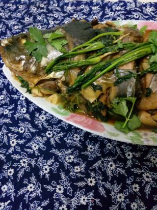 Braised Fish in Brown Sauce ~ Braised Scallop Fish in Brown Sauce recipe