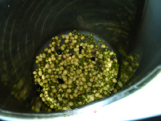 Mung Bean Soy Milk recipe