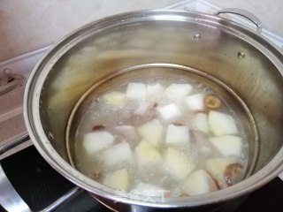 Hawthorn and Winter Melon Pork Ribs Soup recipe